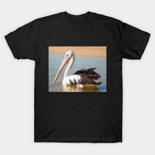 Australian Pelican T-Shirt